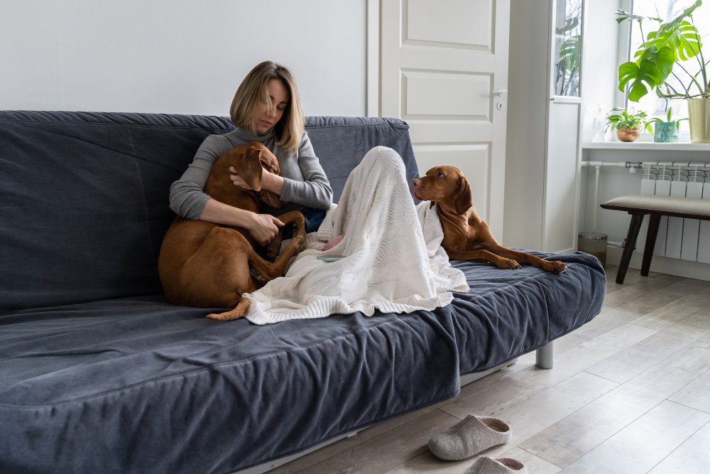 apartamentos en madrid que admiten mascotas