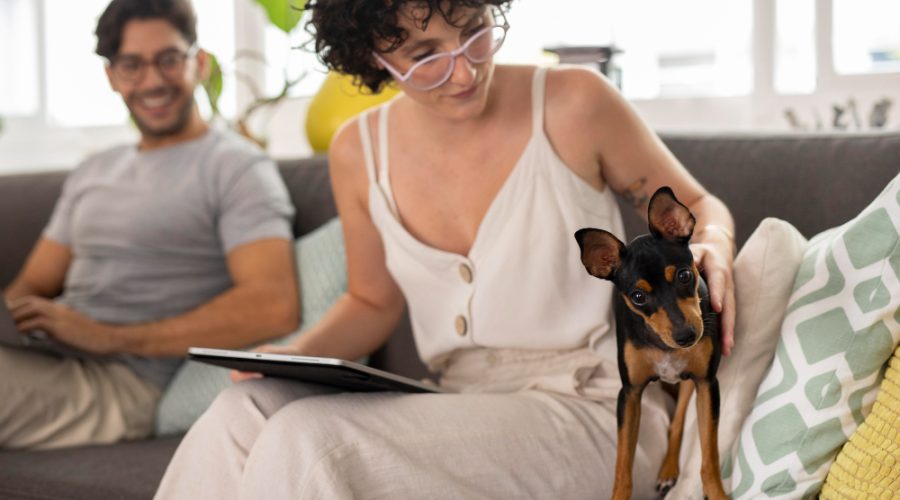 pareja en apartamento que admiten mascotas