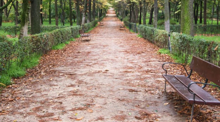 parque-retiro-naturaleza