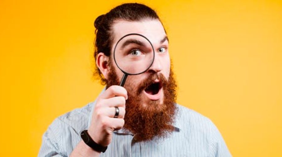 roomtorent-lupa-huespedes